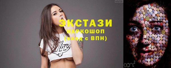 хмурый Алексин