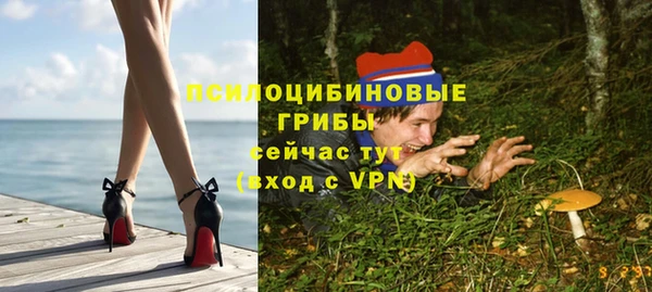 таблы Алзамай