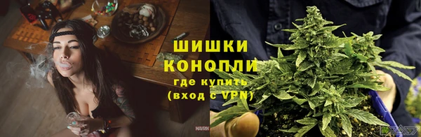 альфа пвп Новозыбков