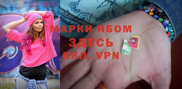 хмурый Алексин