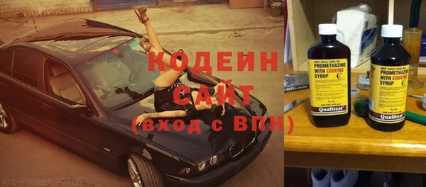 хмурый Алексин